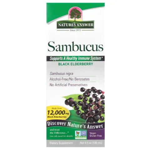Natures Answer, Sambucus, Spirtsiz, 2500 mg, 120 ml